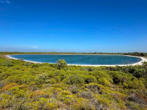Lake Thetis Thrombolites
