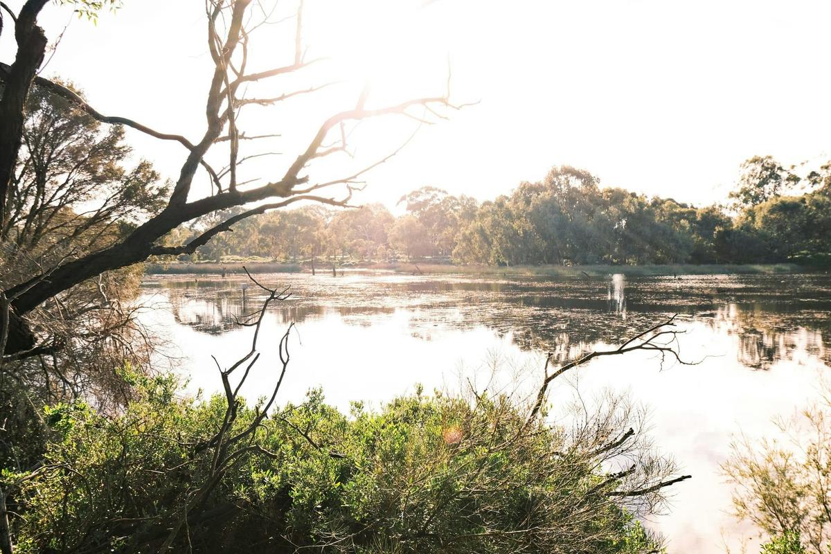 Lake Claremont