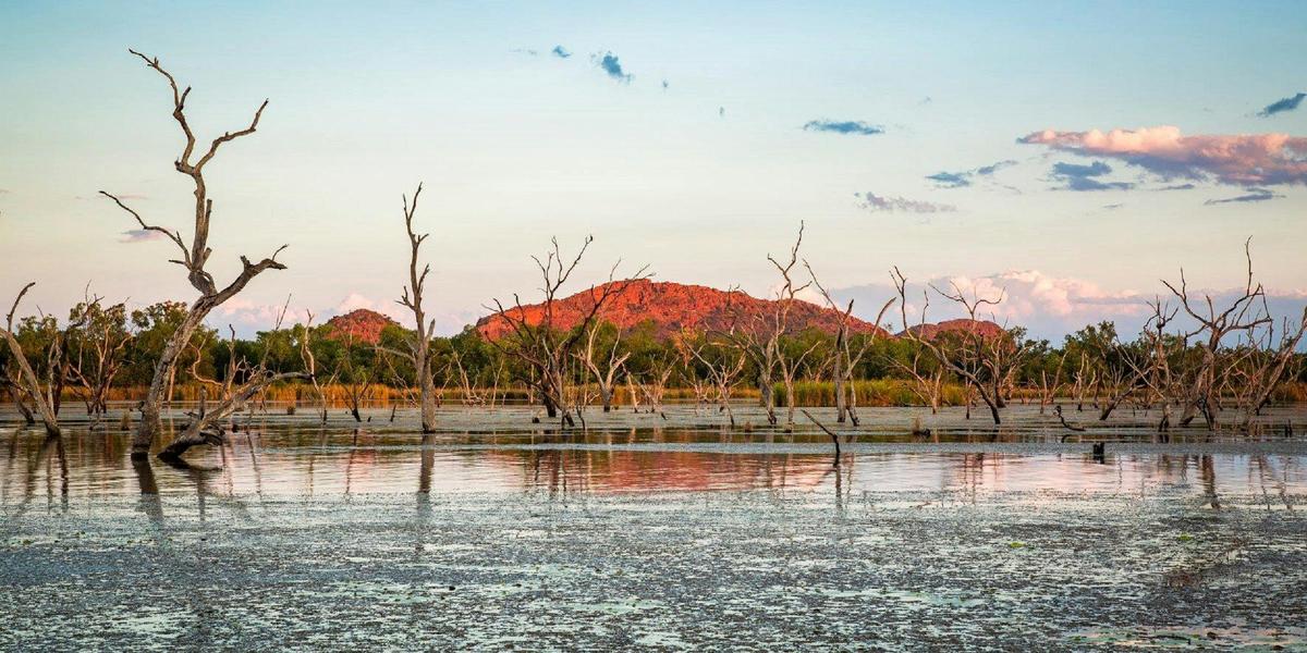 Lily Creek Lagoon, Kununurra, Western Australia