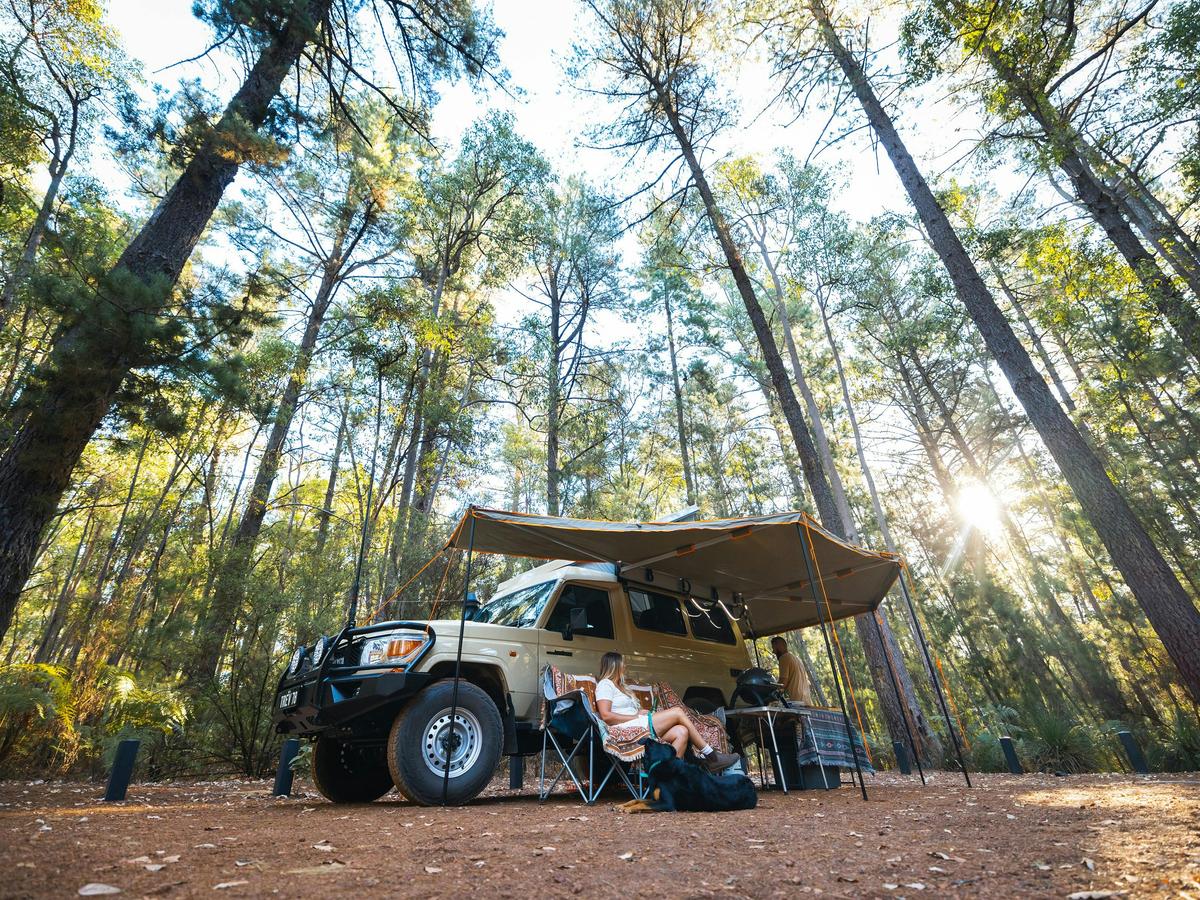 Camping in Lane Poole Reserve - Baden Powell Campgrounds