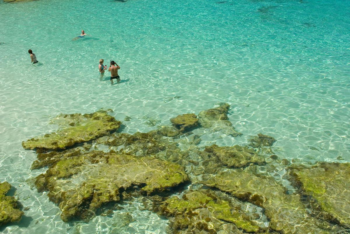 Snorkellers at Little Salmon Bay
