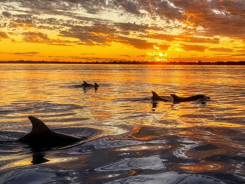 Sundowner Cruise