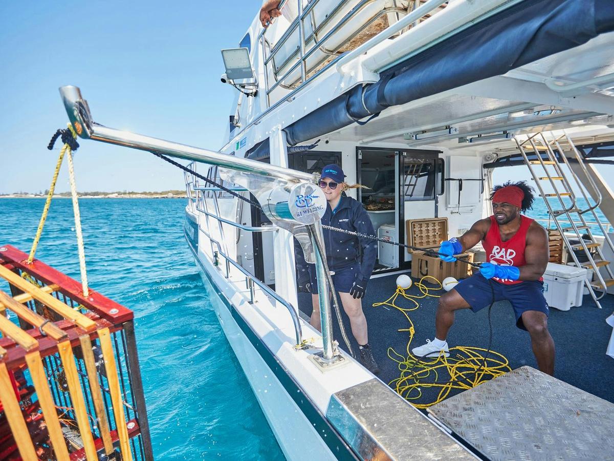 Lobster Catch and Cook Cruise
