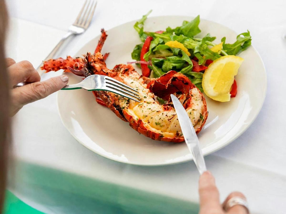 Lobster Catch and Cook Cruise