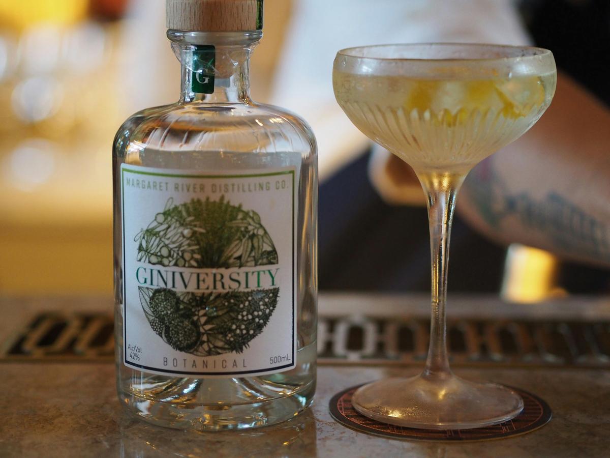 Giniversity Botanical Gin
