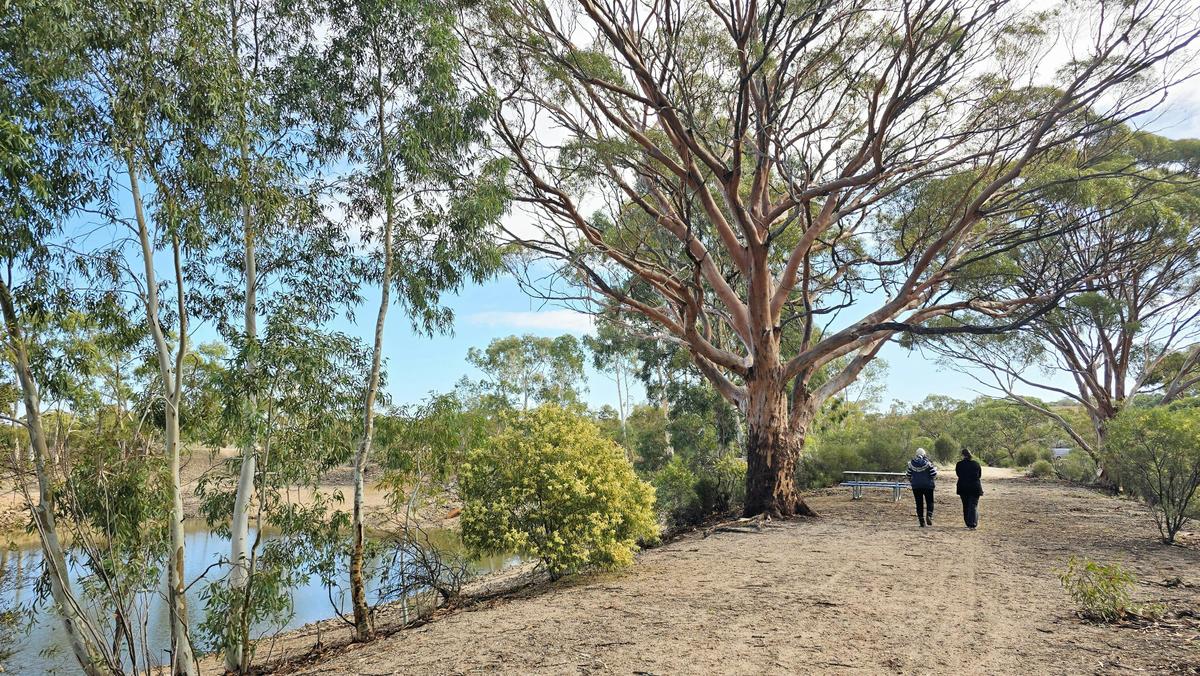 Merredin Peak Railway Dam