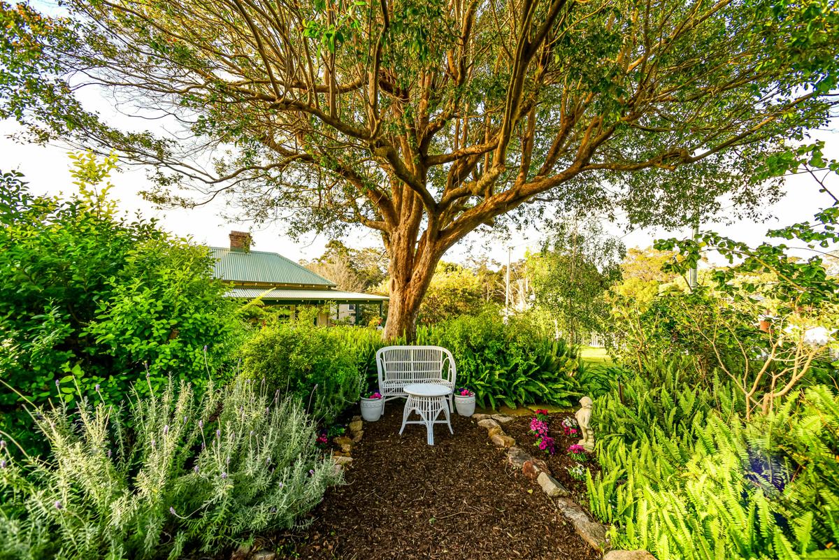 Enjoy the beautiful garden