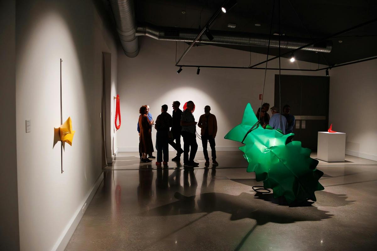A Decade of Inflation: Braddon Snape. Installation shot