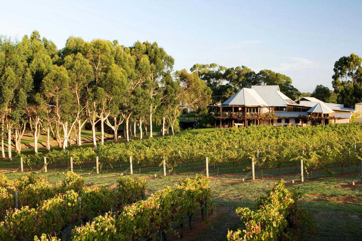 Margaret River Private Tour