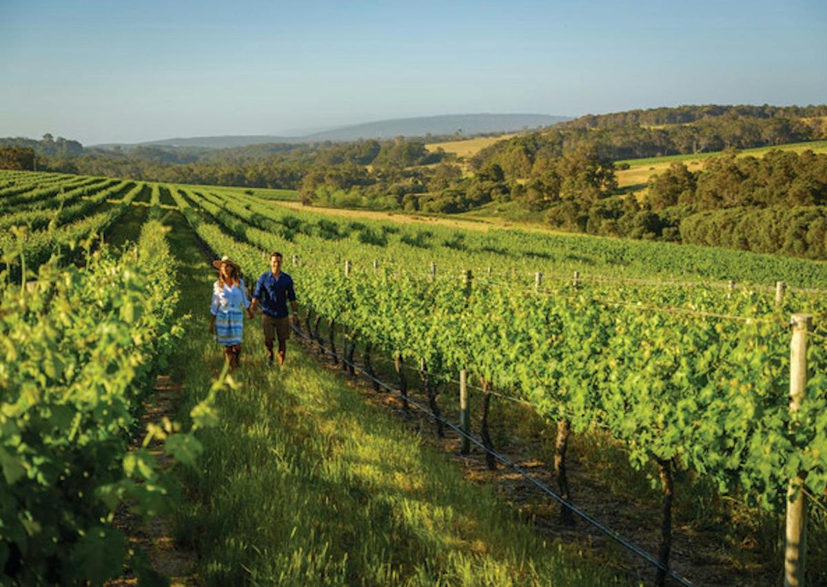 Margaret River Private Tour