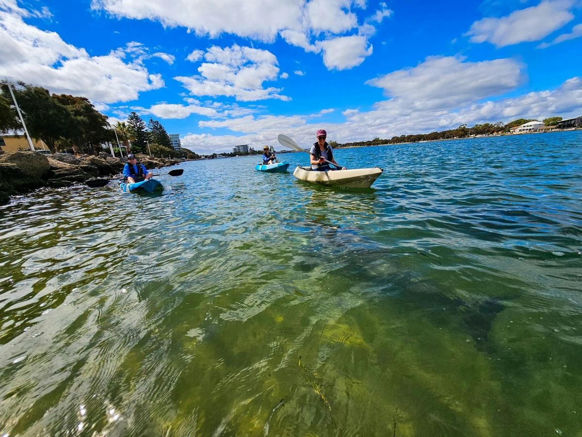 Kayaking in Mandurah's Estuary waters