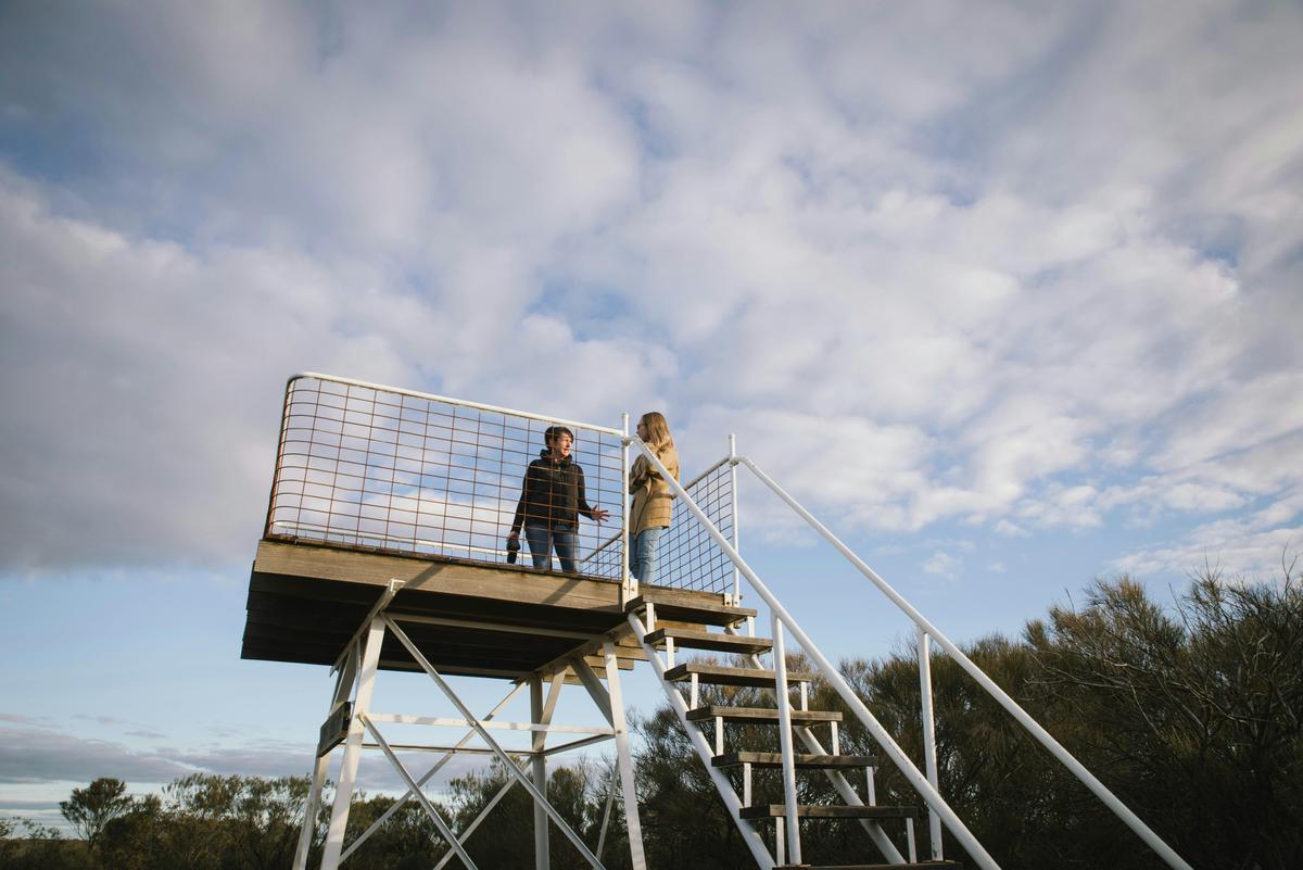 Lew's Lookout Viewing Platform