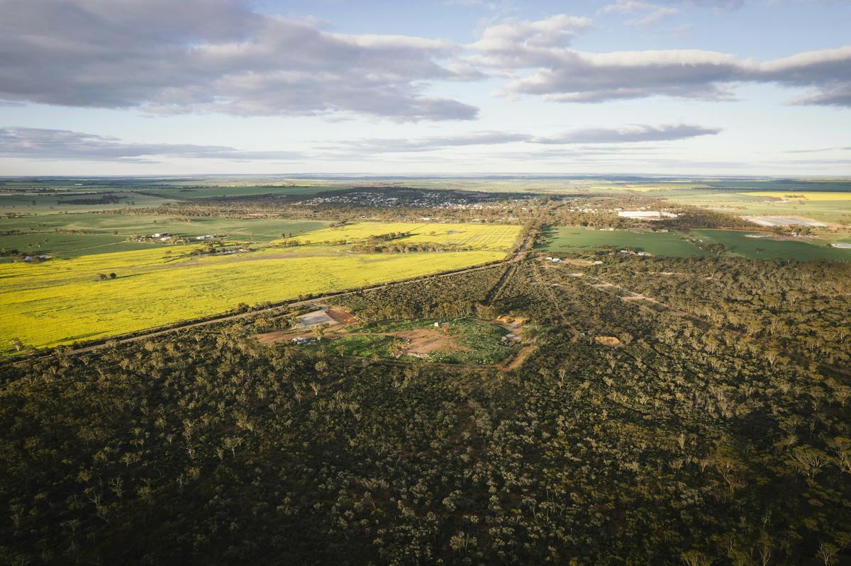 Lew's Lookout View