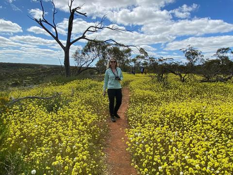 Northern Outback Wildflower 7-Day Tour