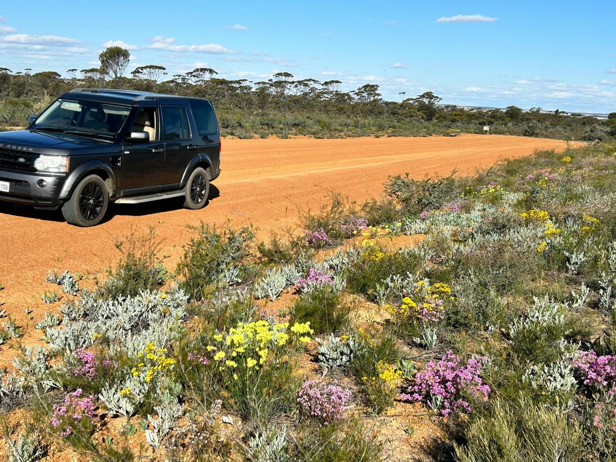 7 Day Southern WA Wildflower Tour