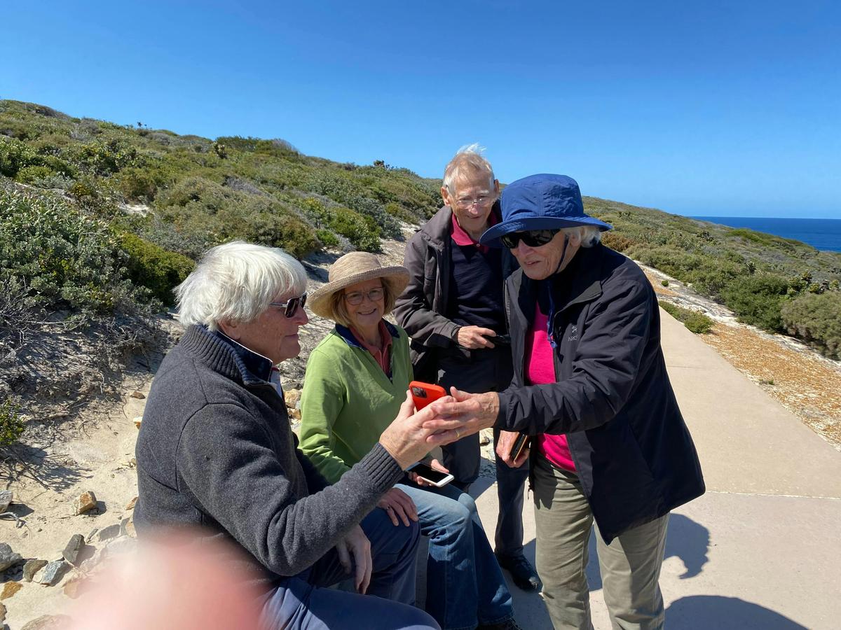 7 Day Southern WA Wildflower Tour