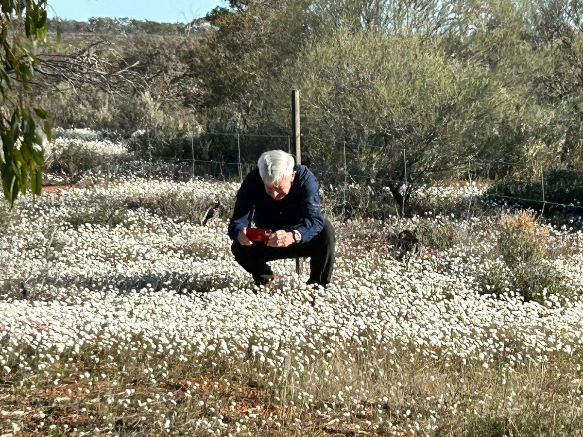Northern Outback Wildflower 7-Day Tour