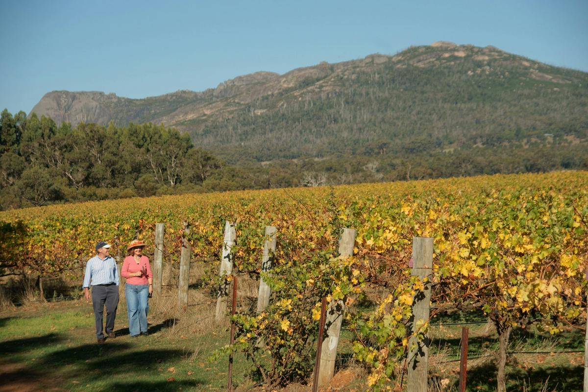 Mt Barker & Porongurup Wine Tour