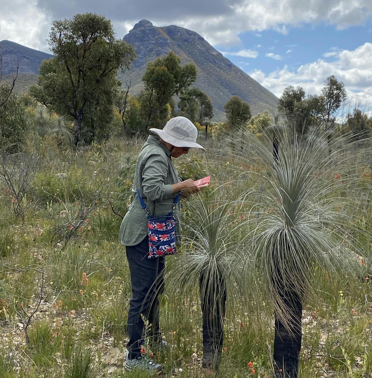 7 Day Southern WA Wildflower Tour