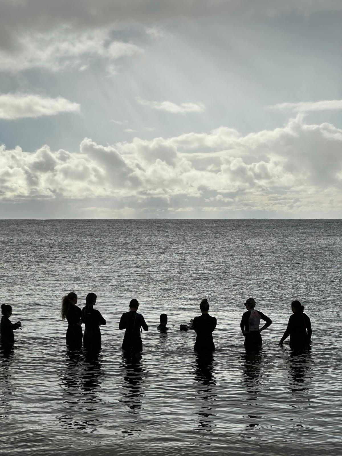 Wellbeing and Apnea programs
