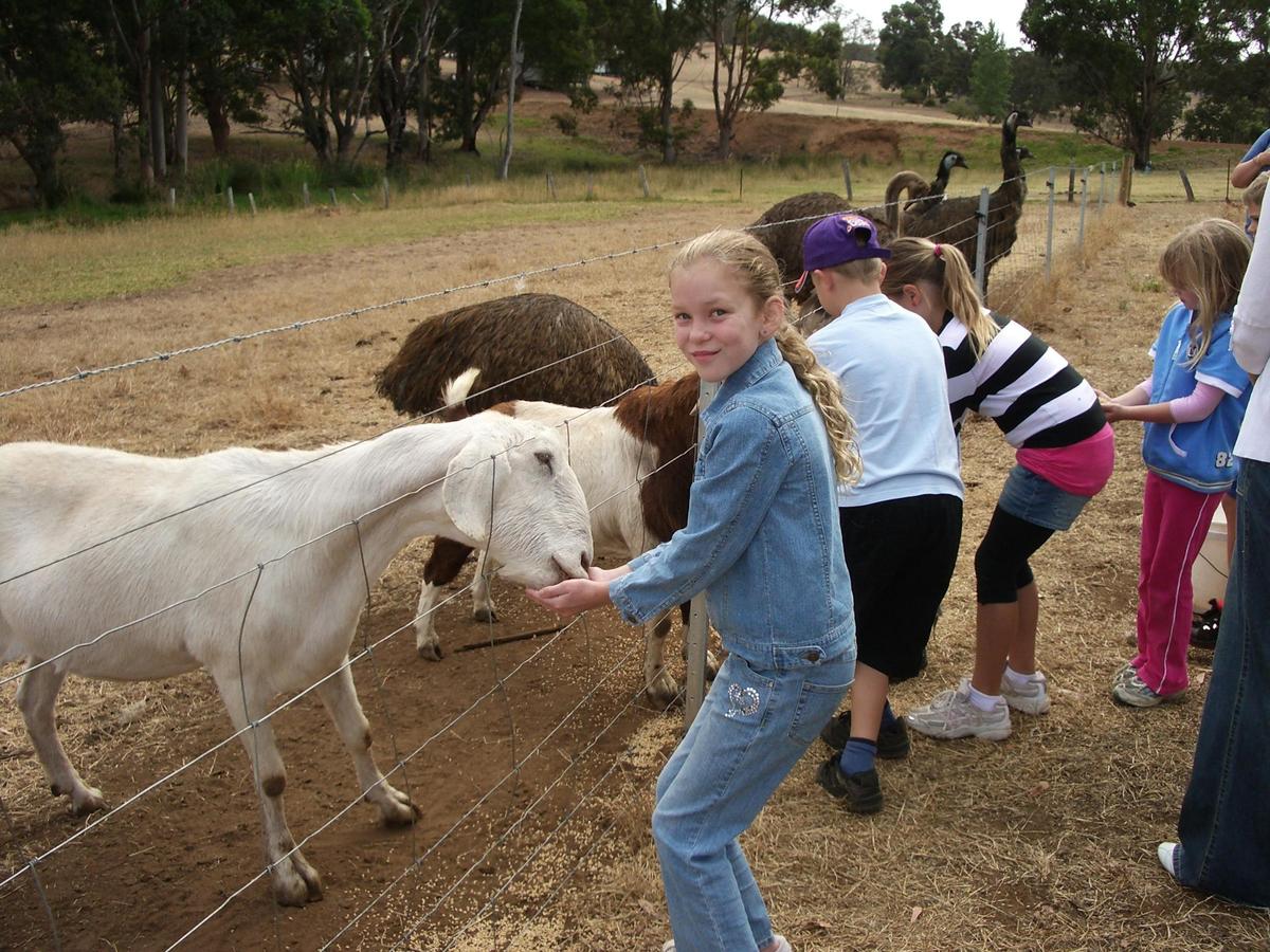 Lucieville Farm Chalets, Glenlynn, Western Australia