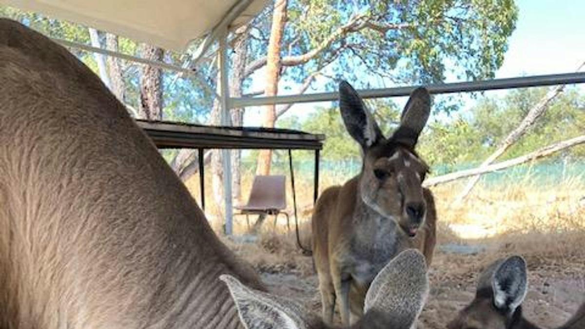 Loveland Farmstay