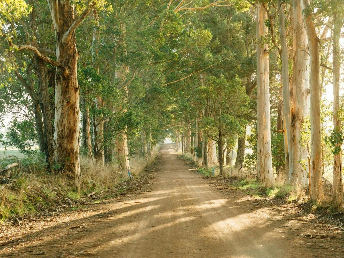 Behind the Farm Gate - Southern Forests WA