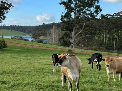 Behind the Farm Gate - Southern Forests WA