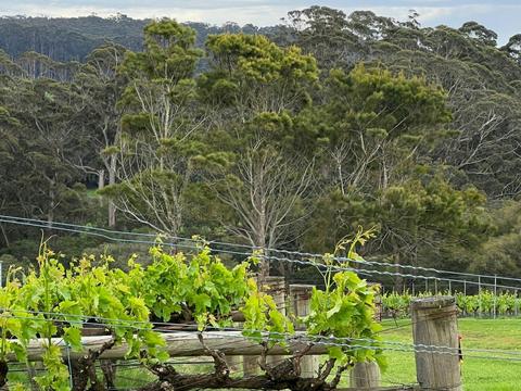 Great Southern Spring Road Trip