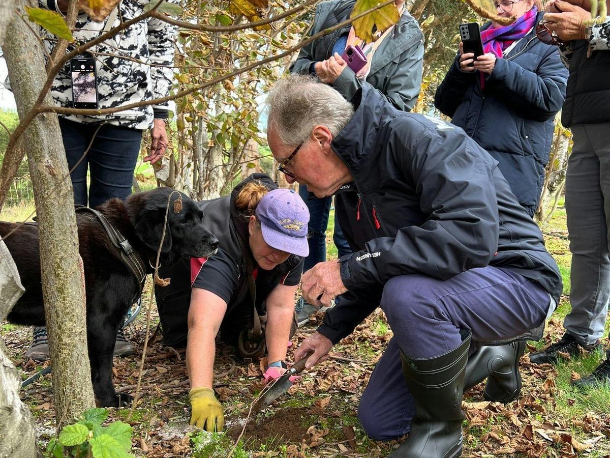 Southern Forests Truffle Hunt
