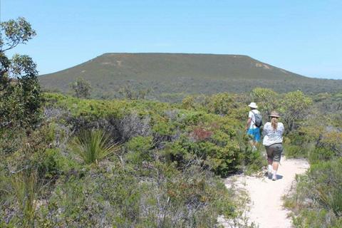 Lesueur Trail