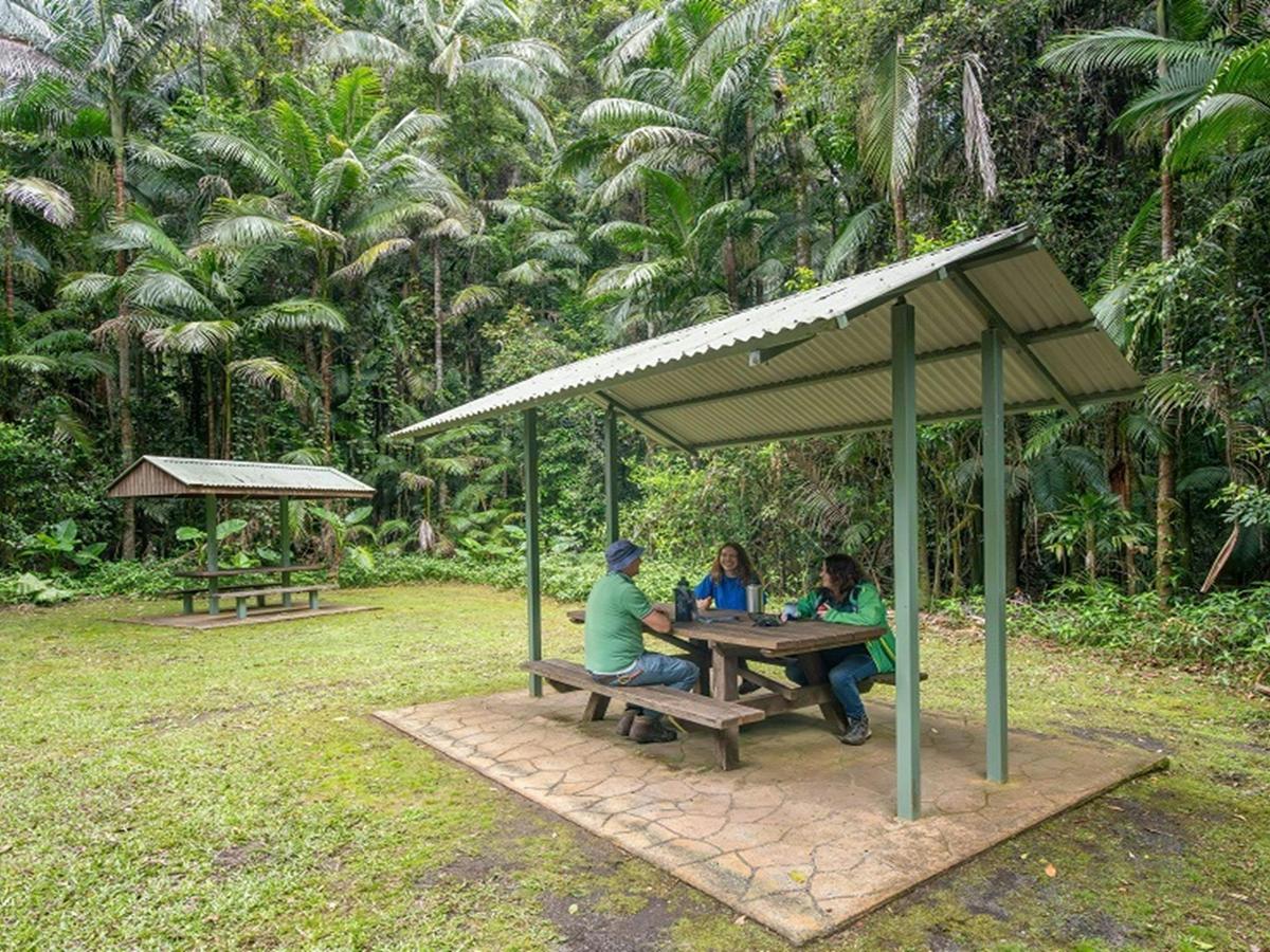 Picnickers enjoy lunch together at one of the sheltered picnic tables at Terania Creek picnic area,