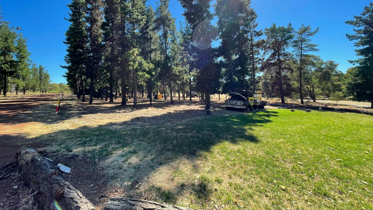 Little Eeden Farm Pine Camp