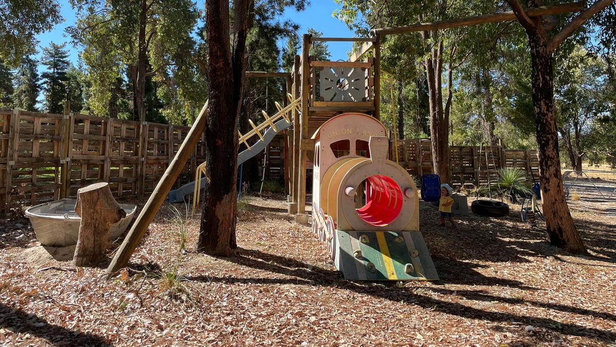 Little Eeden Farm Pine Camp
