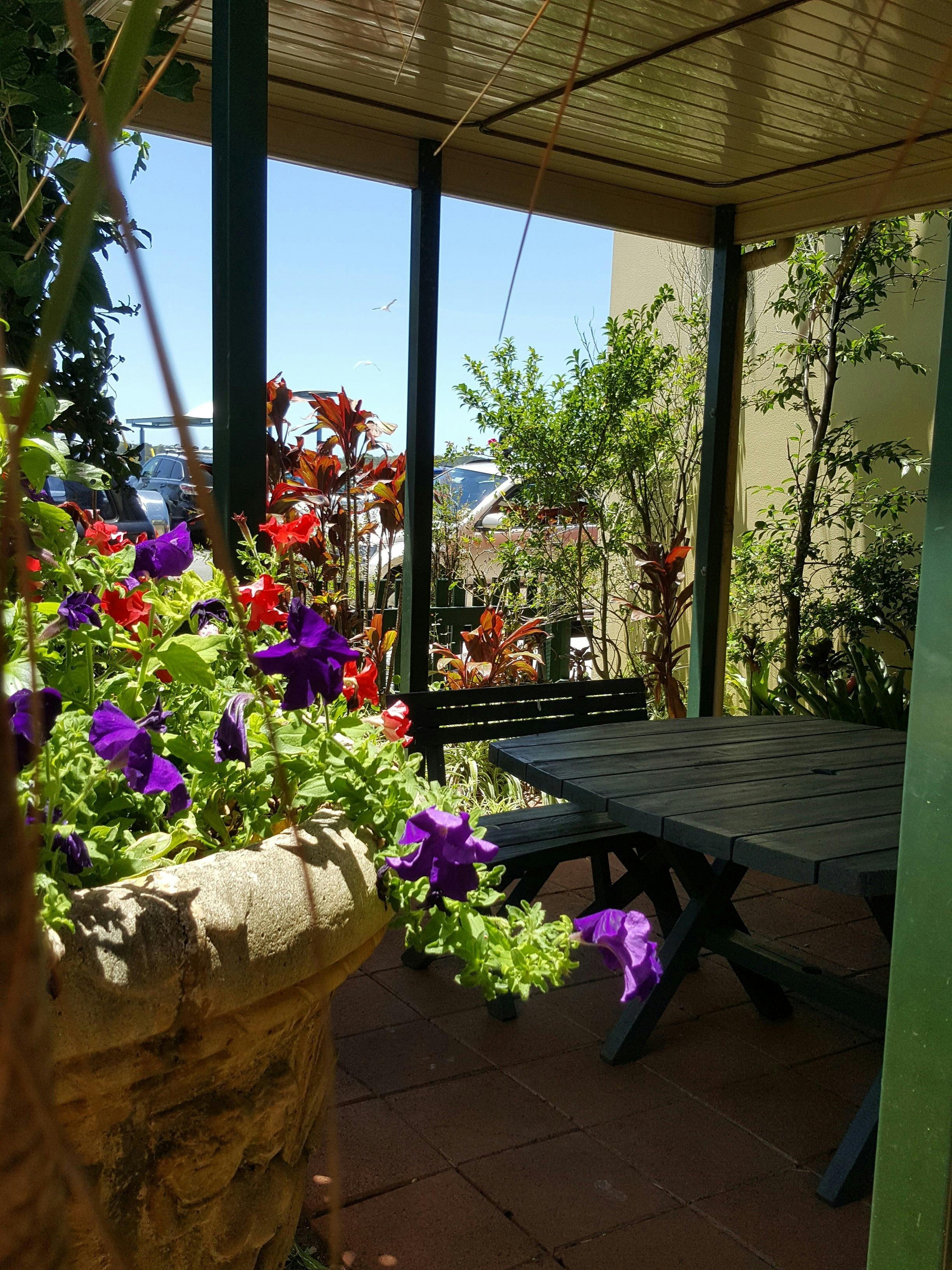 The Gallery's shady garden opposite the Myall River.