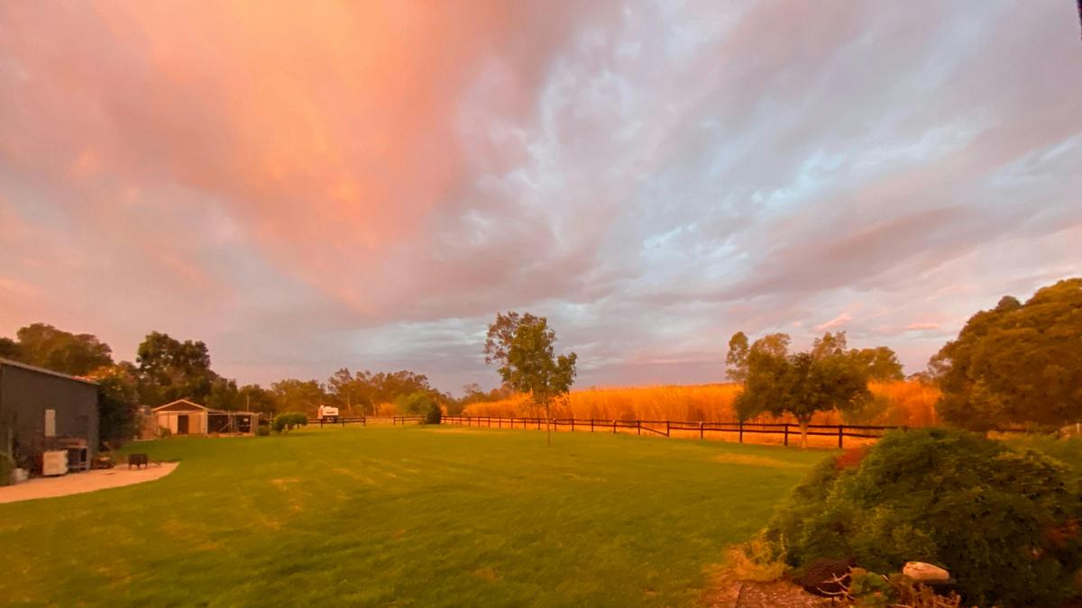 Miss Piggy’s Ranch