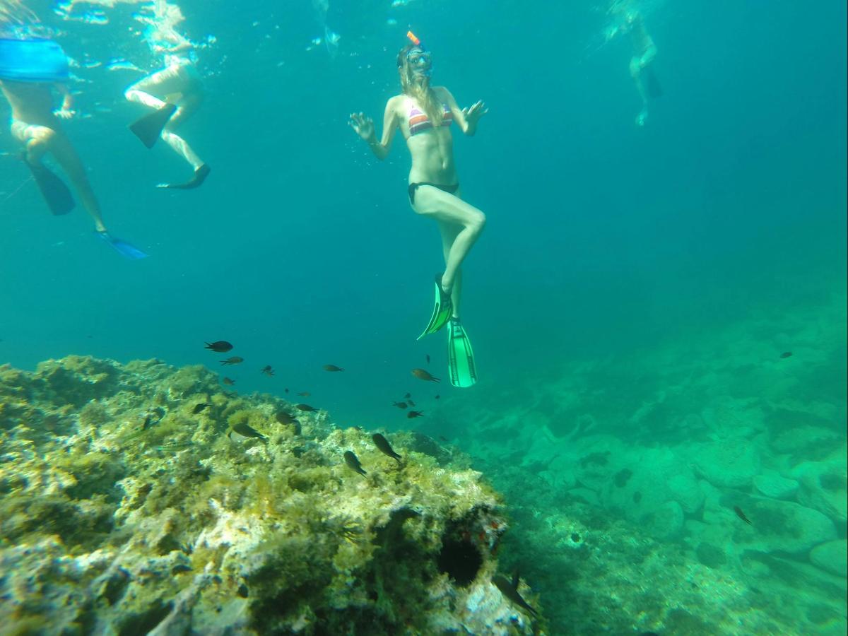 Reef Snorkel
