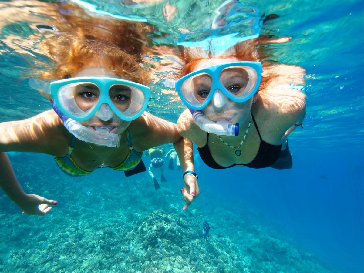 Reef Snorkel