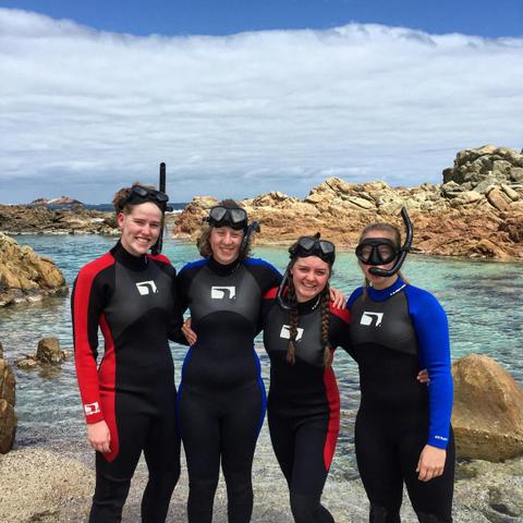 Reef Snorkel