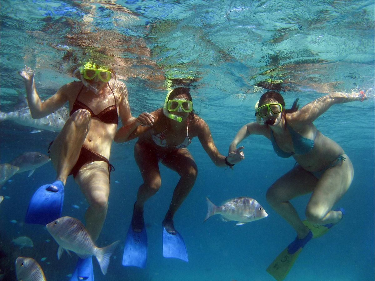 Reef Snorkel