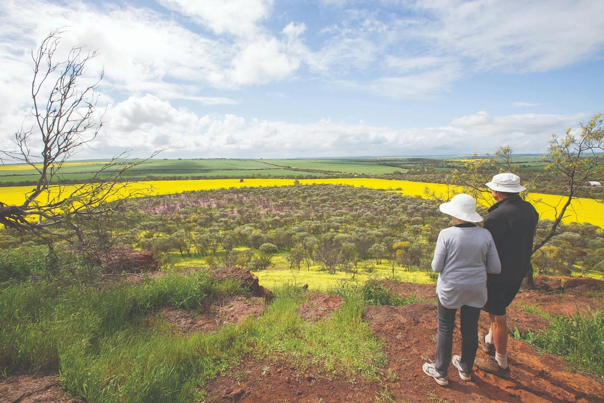 Coalseam Conservation Park