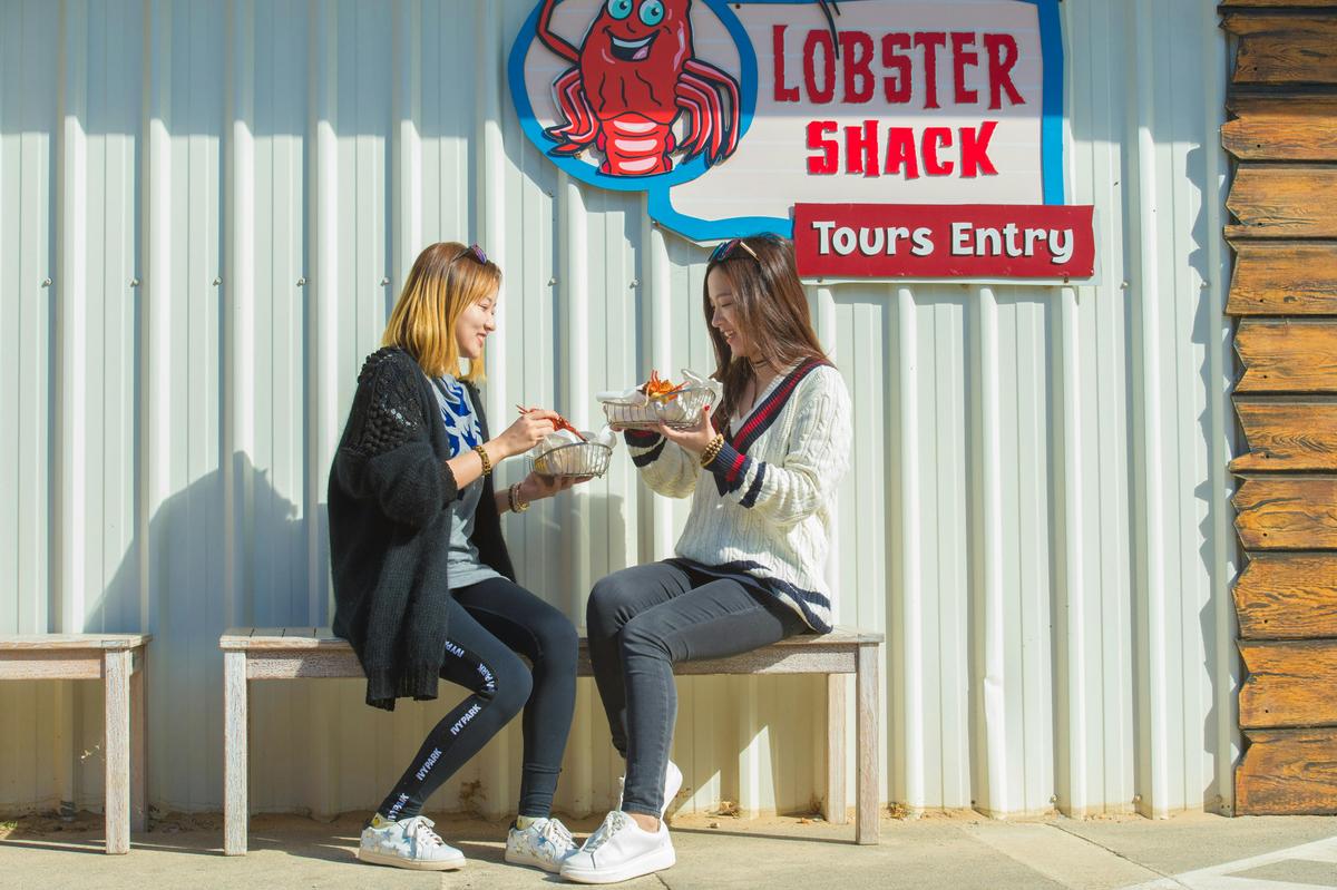 Pinnacles & Crayfish Tour