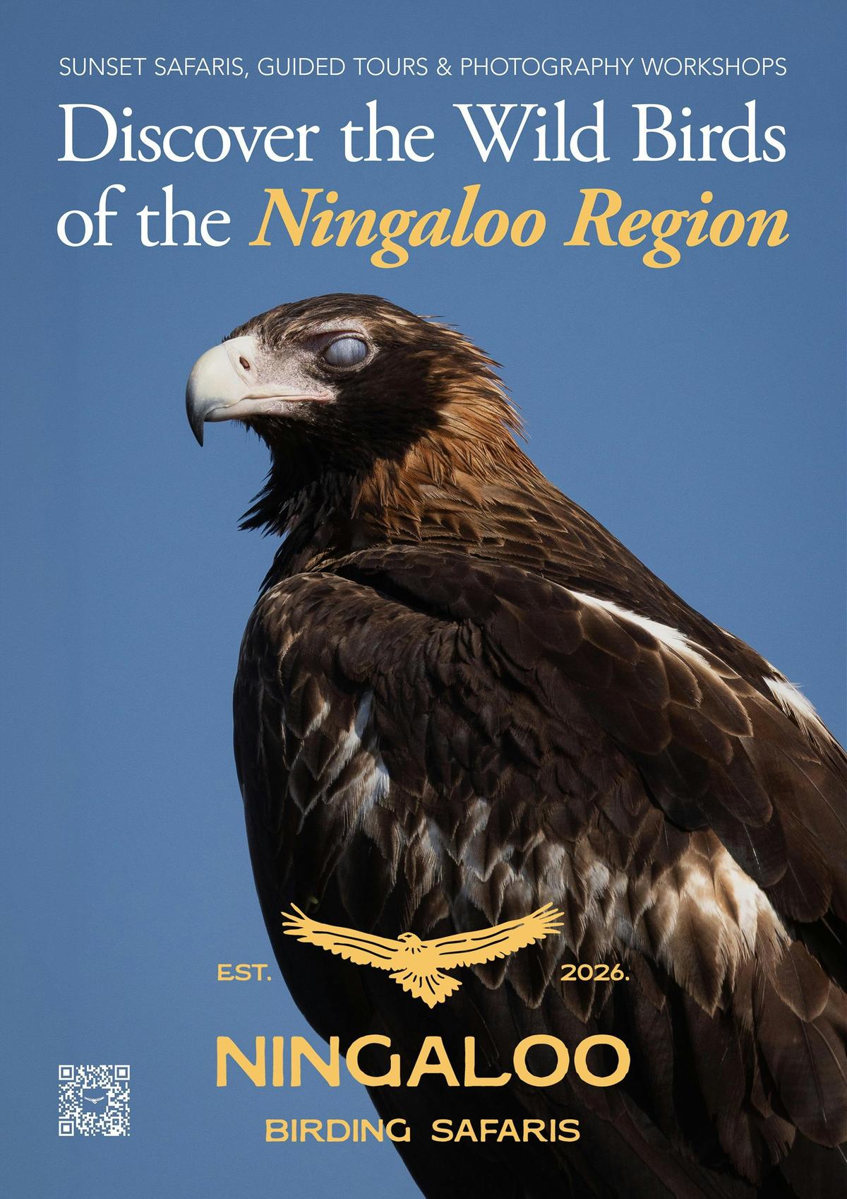 Wedge-tailed Eagle