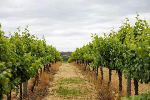 Mount Barker