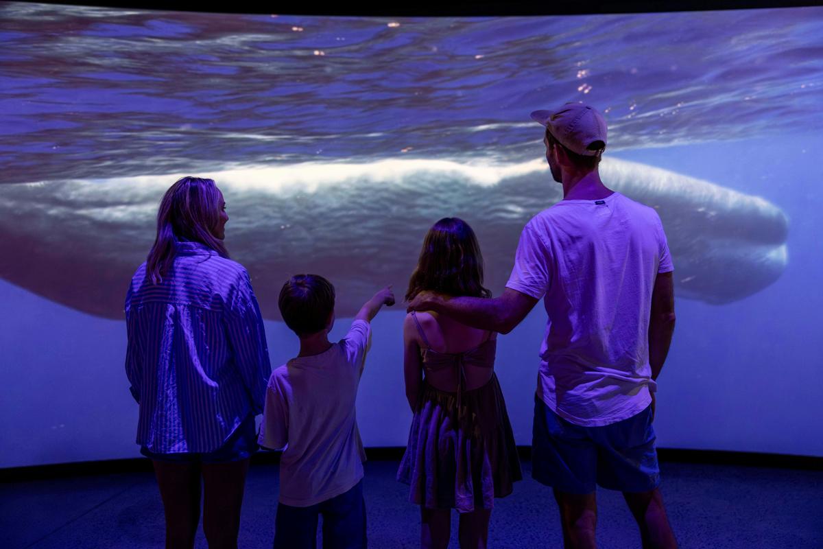 Busselton Jetty Marine Discovery Centre