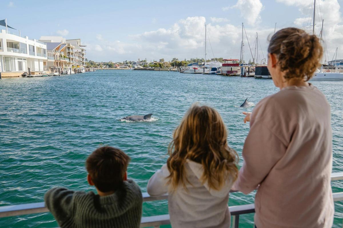 Watching dolphins from boat cruising Mandurah's Ocean Marina