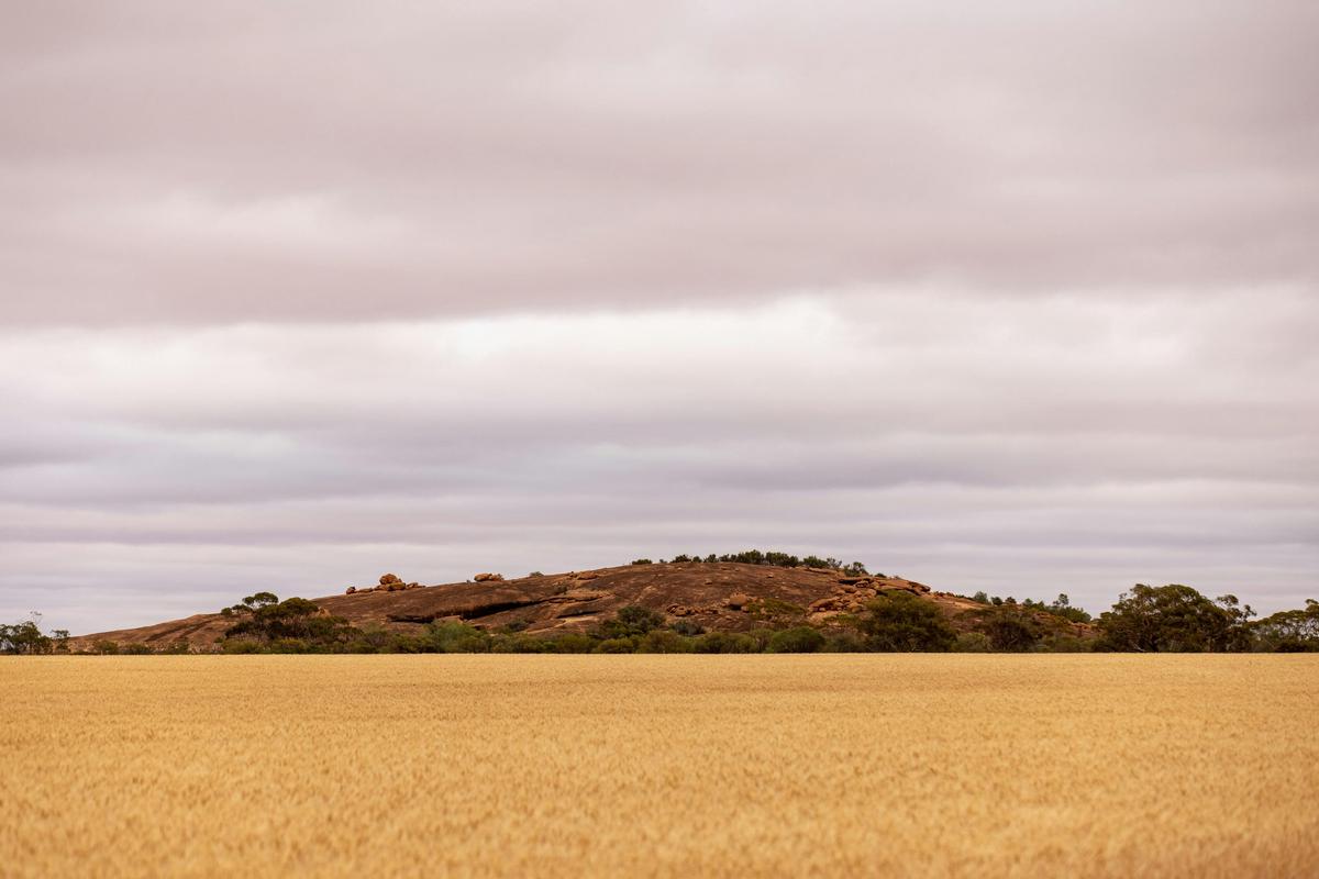 Beringbooding Rock, near Mukinbudin
