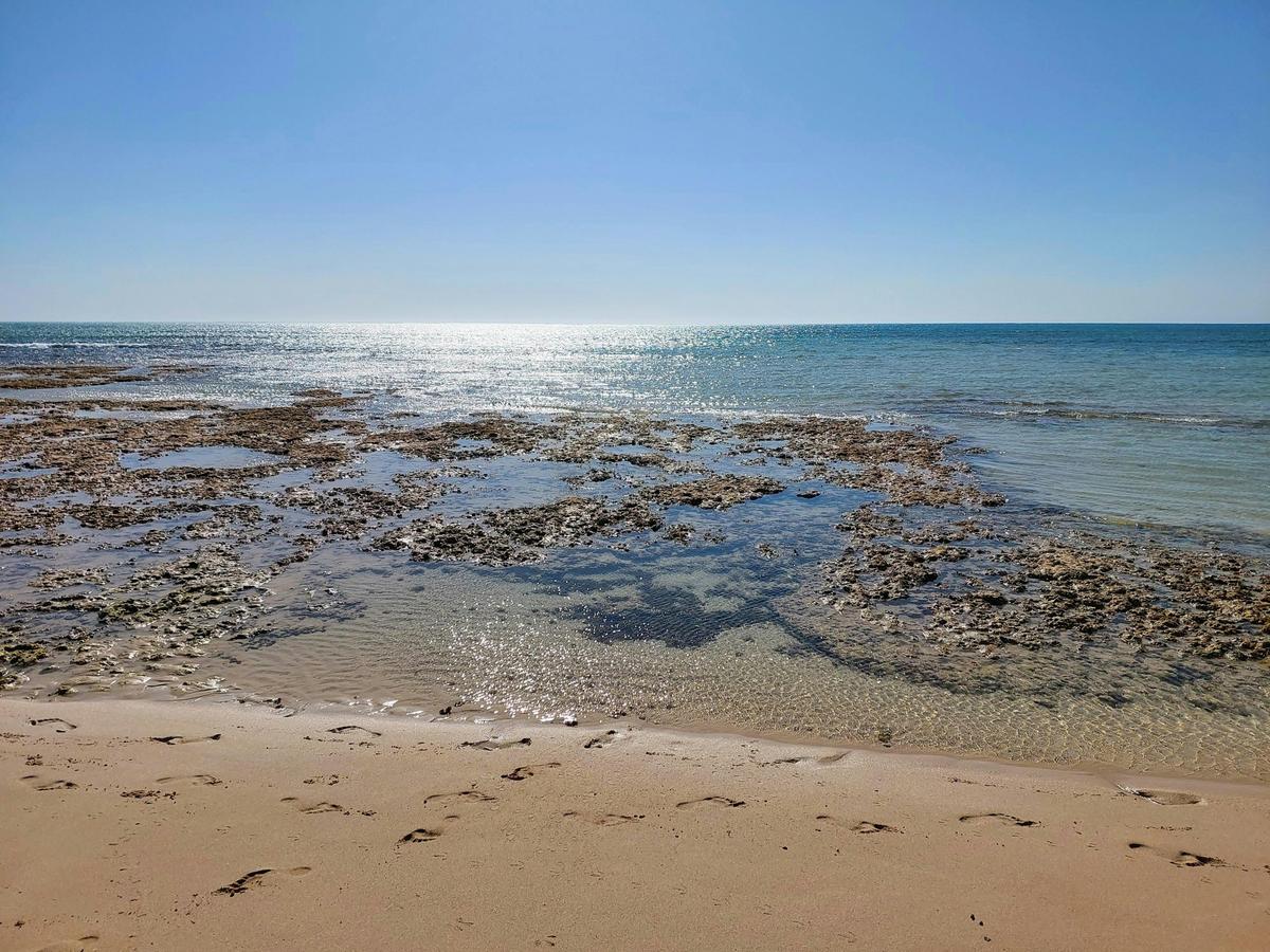 View of beach from Neds Campground