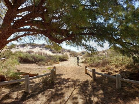 Campsite