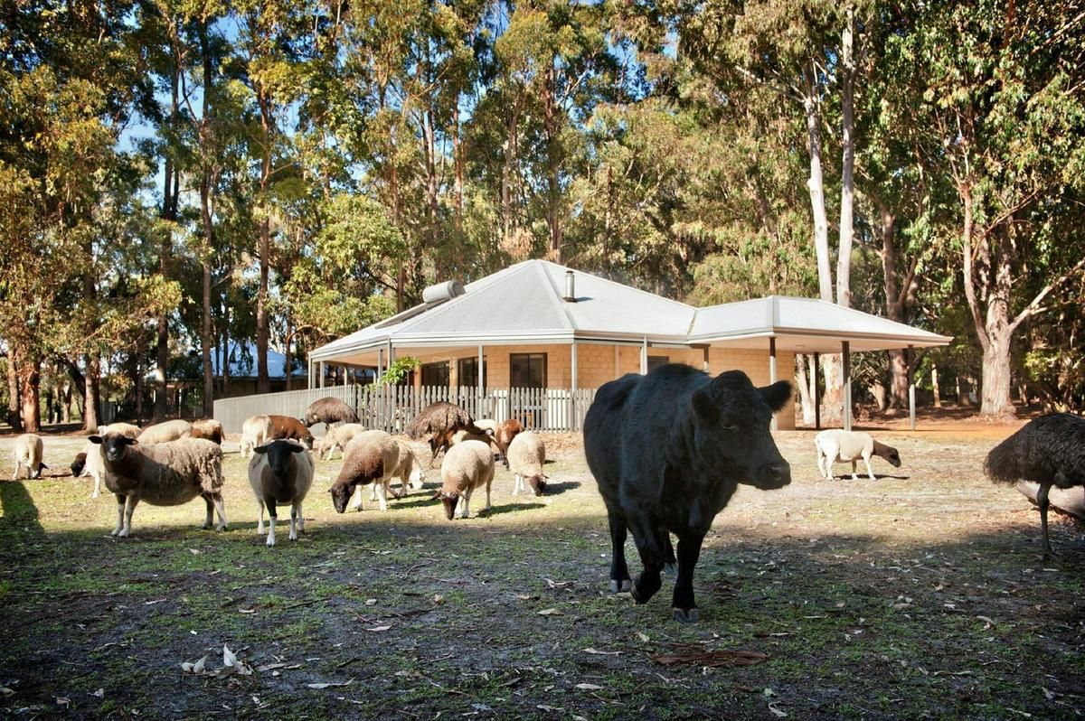 Margaret River Hideaway and Farmstay